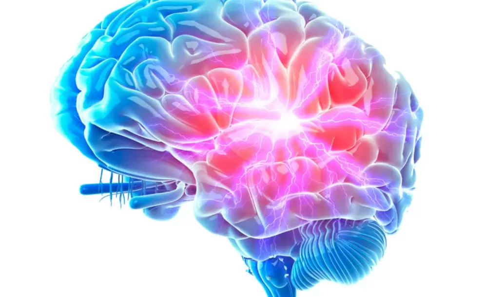 ¿Cómo funciona el cerebro de la 'Generación de cristal'?