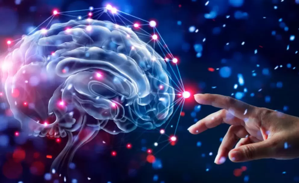 El cerebro y el conflicto. Aprende a tratarlo con una matriz