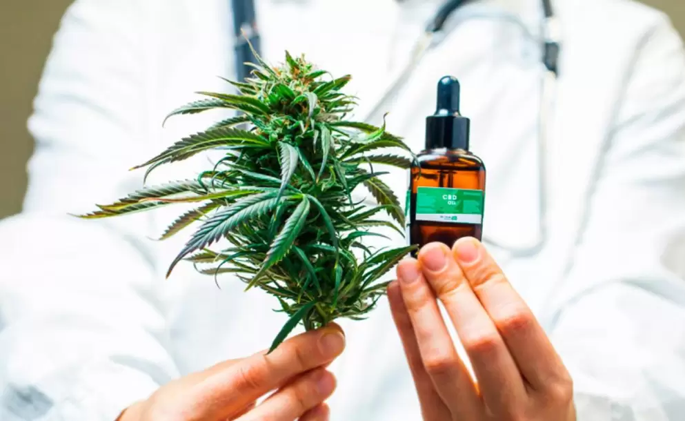 Mitos, verdades y beneficios comprobados del cannabis medicinal