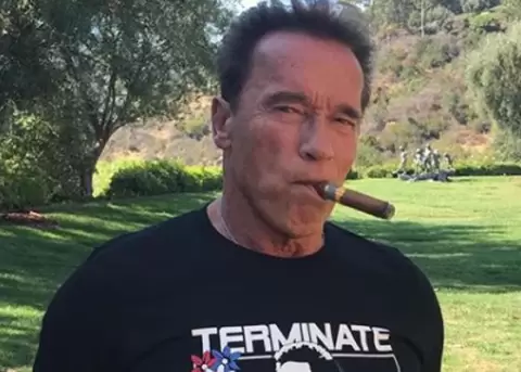 Arnold Schwarzenegger sufri un accidente automovilstico; una mujer fue llevada al hospital