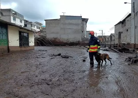 El martes 8 de febrero se presentar el plan de recuperacin de La Gasca