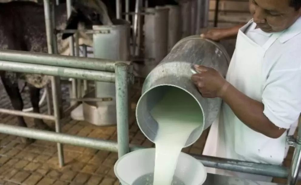 Más de 12 millones de litros de leche se han perdido en los doce días de la paralización indígena