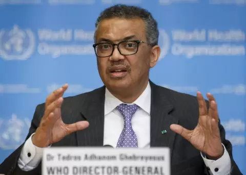 La OMS activa su m�ximo nivel de alerta por la viruela del mono