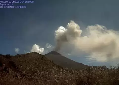 Al menos 45 hectreas destinadas a ganadera han sido afectadas por ceniza del volcn Sangay