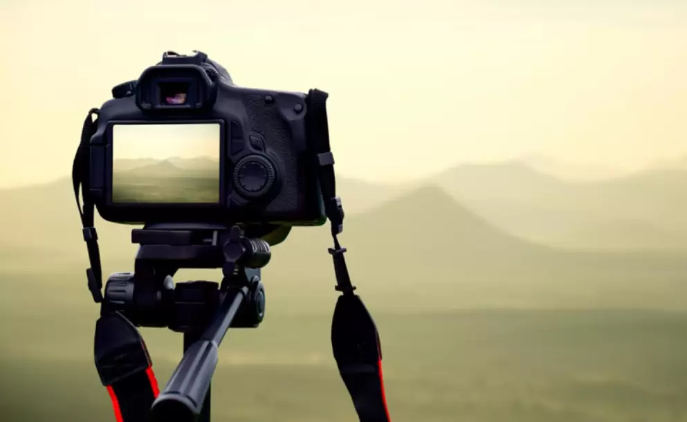 La fotografa de naturaleza: una forma de conectarse con la belleza y fragilidad del mundo natural