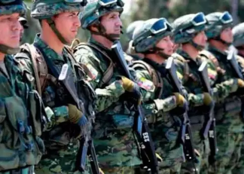 Las FF.AA. afirman que no descansarn hasta capturar a los peces gordos del narcotrfico y el crimen organizado