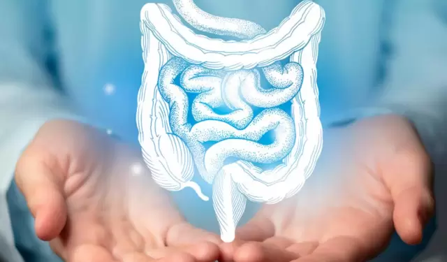 Salud digestiva.