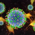 OMS confirma seis casos de hantavirus tras brote en crucero