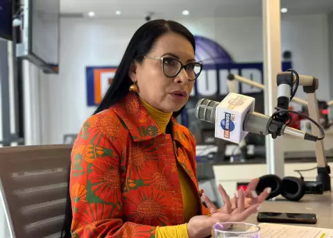 CNE responsabiliza a 'Antroproyectos' por fallas en el voto telemtico y dice que se ocult informacin