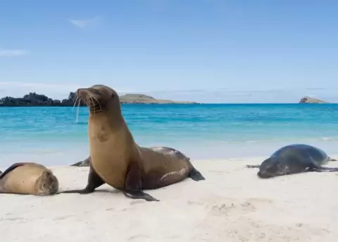 Remueven al Director del Parque Nacional Galpagos