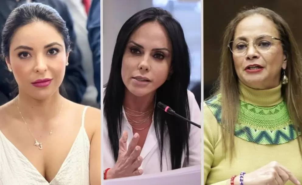 Los siete asambleístas que votaron a favor de la Ley de Turismo podrían ser suspendidos o separados de RC