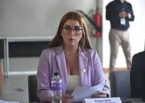 El Ministerio de la Mujer y DD.HH. busca implementar el Registro nico de Violencia para este ao