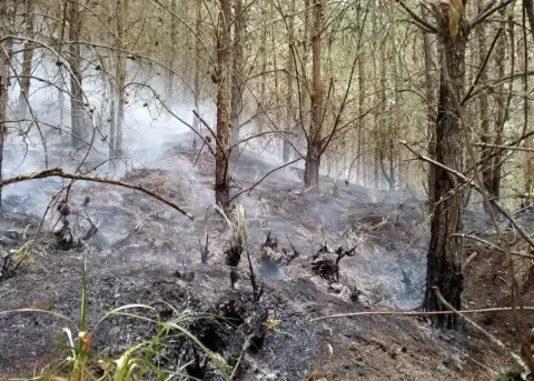 Per ayuda a Ecuador para combatir incendio forestal en Loja; el rea afectada asciende a 4 600 hectreas