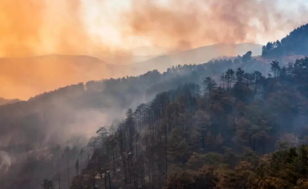 ¿Cómo cuidarnos del impacto del humo de los incendios en la ciudad?