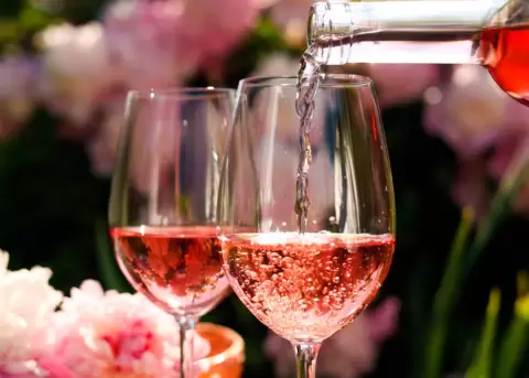 Vinos y festejos Cmo elegir el vino segn la ocasin?