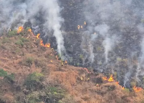 Los incendios forestales en Loja han destruido más de 3.700 hectáreas de bosque y dejan 295 familias afectadas