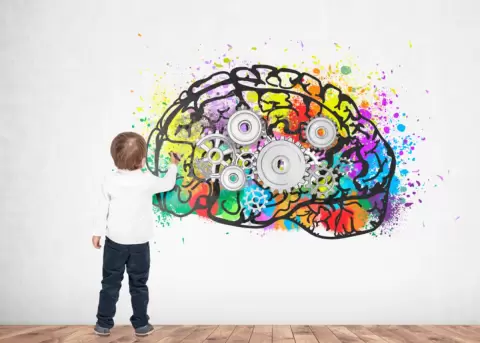 Cmo potenciar las 4 dimensiones cerebrales de tus hijos