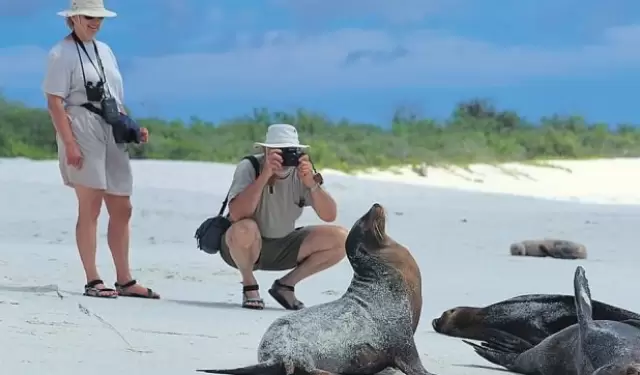 turistas