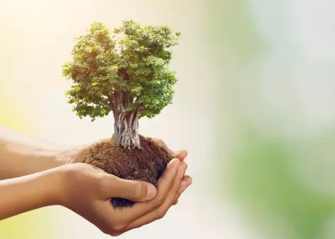 El Da Internacional de la Madre Tierra busca crear prcticas ambientales responsables.