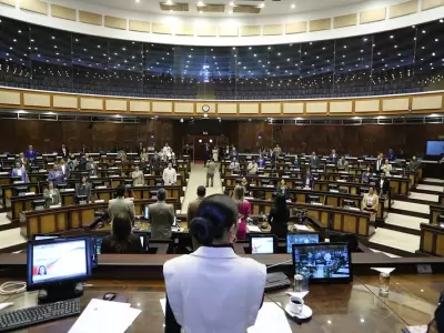 Asamblea Nacional o Constituyente: lo que todo ciudadano debe saber - FM  Mundo