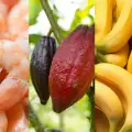 Ecuador necesita mejorar su competitividad para aprovechar los mercados asi�ticos, sostiene presidente del CEE