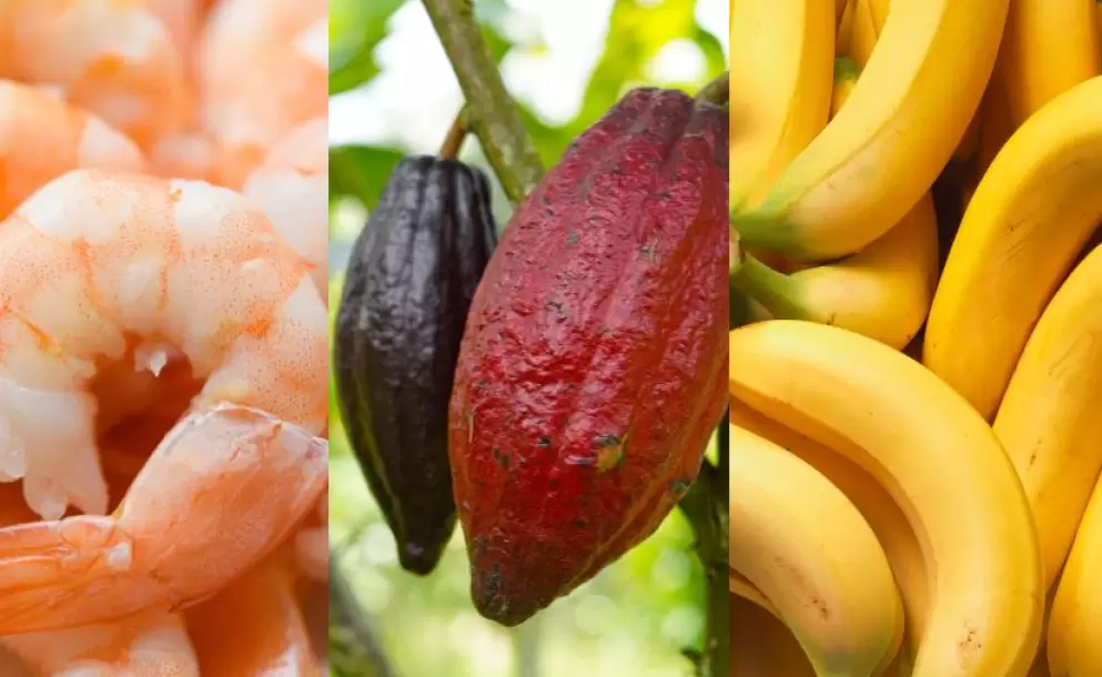 Ecuador debe seguir diversificando sus mercados para mitigar el impacto de los aranceles, coinciden expertos