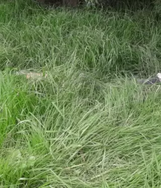 Uno de los cuerpos abandonados en El Troje, en el sur de Quito, el 11 de mayo de 2025.