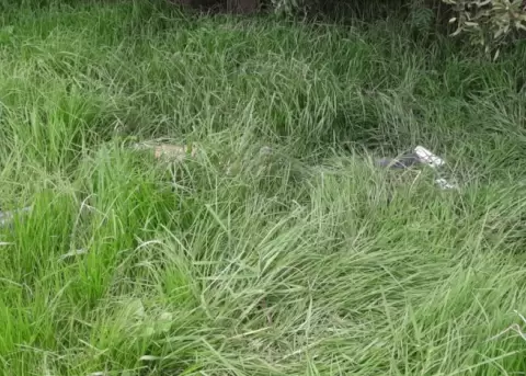 Uno de los cuerpos abandonados en El Troje, en el sur de Quito, el 11 de mayo de 2025.