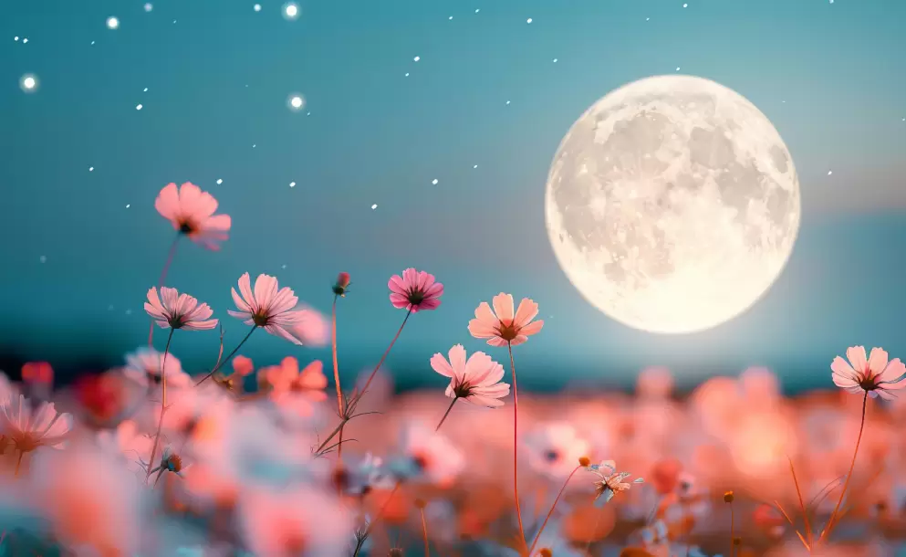 La Luna de Flores iluminar el cielo de Ecuador