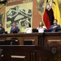 El Gobierno afianza una "mayora de pocos votos"; ser difcil sostenerla en los 4 aos del periodo legislativo, afirma analista poltico
