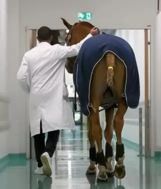 Peyo visita a los enfermos de un hospital en Francia y les brinda consuelo.