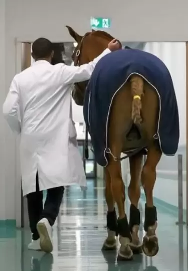 Peyo visita a los enfermos de un hospital en Francia y les brinda consuelo.