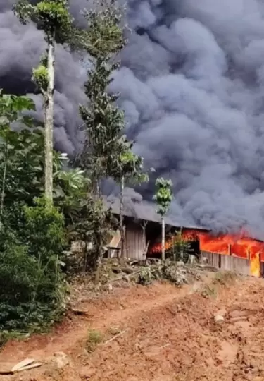 Guarida destruida durante operativo militar en la frontera norte.