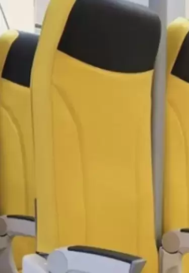Aerolíneas low cost podrían implementar asientos de pie para abaratar costos de pasajes.