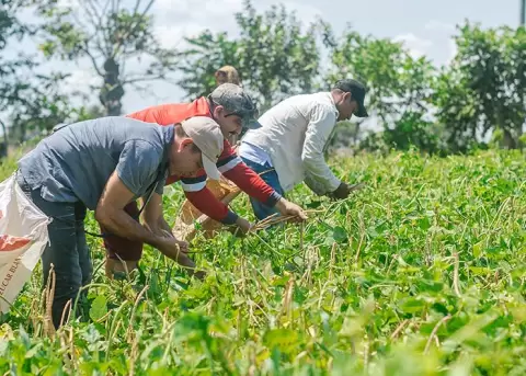 La econom�a de Brasil creci� un 1,4 % en el primer trimestre gracias al campo