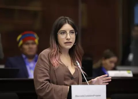 Jahiren Noriega present� la propuesta alternativa del corre�smo a la Ley de Solidaridad Nacional.