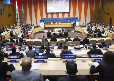 Ecuador fue electo miembro del Consejo Econ�mico y Social de la ONU para el per�odo 2026-2028