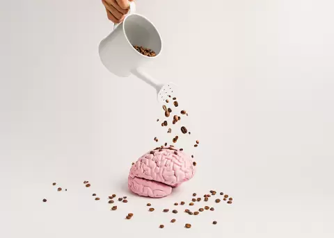 Caf� reorganiza el cerebro y potencia memoria y toma de decisiones.