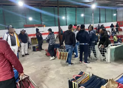 Desmantelan gallera ilegal en Rumicucho con decenas de participantes y animales decomisados