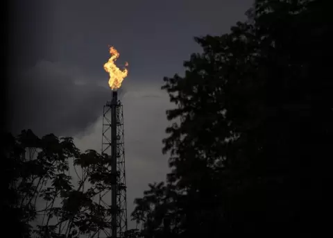 Un centenar de ONG piden al presidente de Brasil �suspender de inmediato� la venta de crudo a Israel