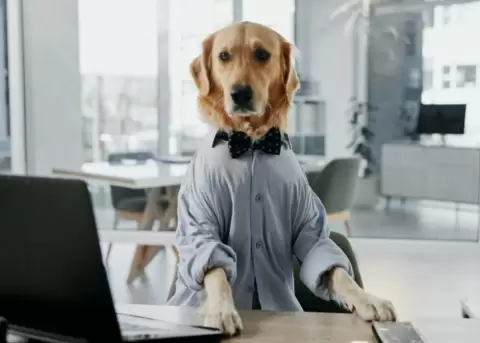 Denver deber� proporcionar felicidad y bienestar a sus compa�eros.