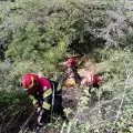 Cami�n cae a quebrada en Guayllabamba y deja un herido
