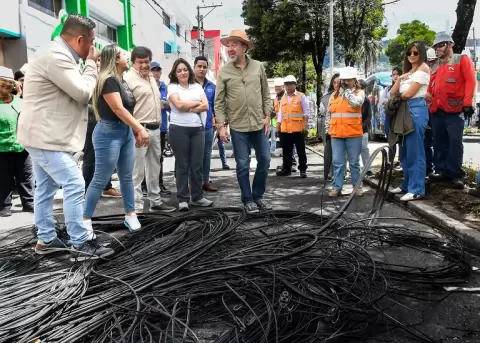 No m�s tallarines en la ciudad, los vecinos merecen ver el maravilloso cielo de Quito�: Pabel Mu�oz