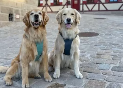 Ellie y Emma disfrutan de tomarse fotograf�as.