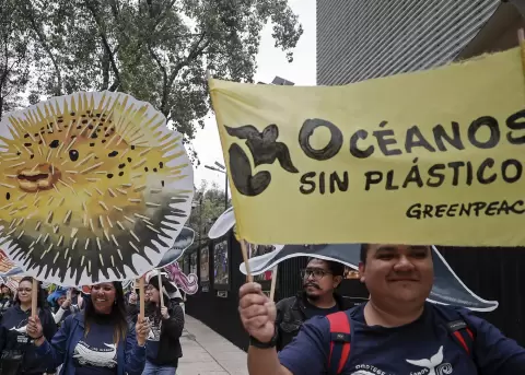 M�xico da un paso hist�rico en defensa de los oc�anos.