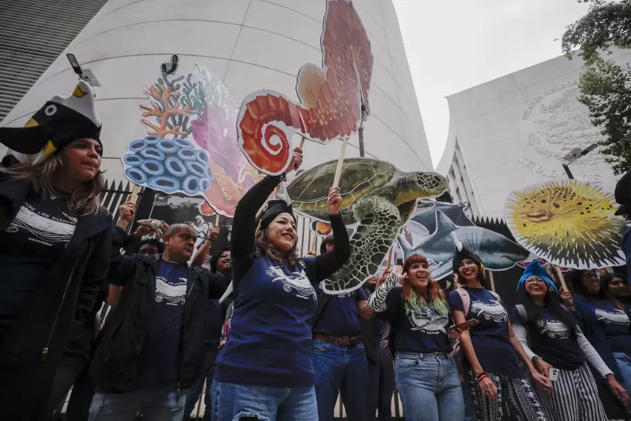 Greenpeace aplaude un paso clave para la vida marina.
