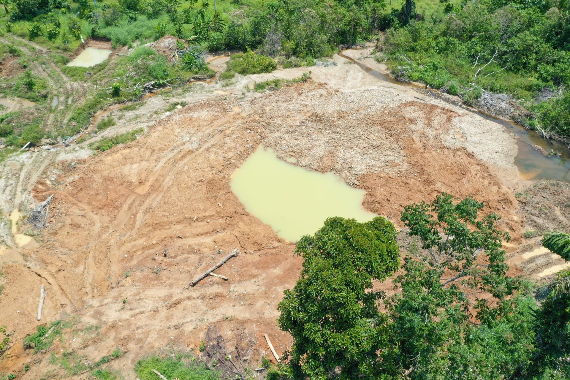Complicidad y miedo: dos factores que marcan la expansión de la minería ...