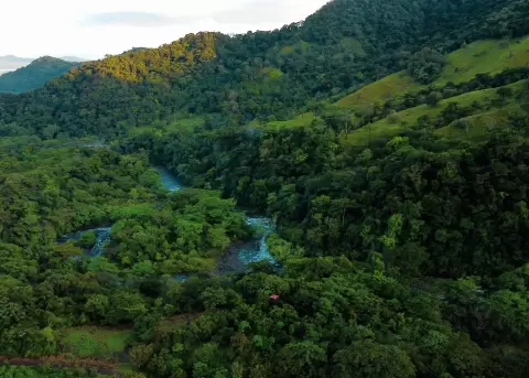 Proyecto de Ley sobre �reas Protegidas genera debate por falta de unidad de materia