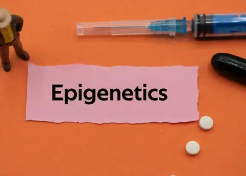 La epigen�tica puede afectar nuestra salud.