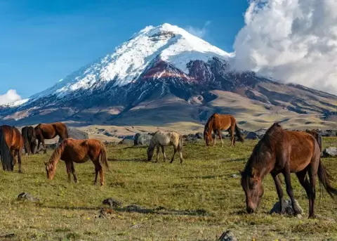 Imagen del Parque Nacional Cotopaxi.